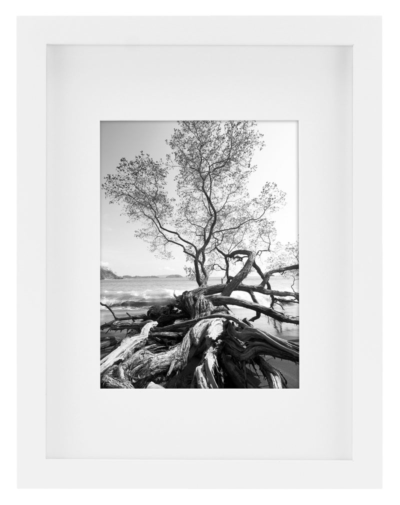 MCS Art Frame with Mat Opening, White, 9 x 12 in - Image 2